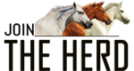 Horse Herd Logo